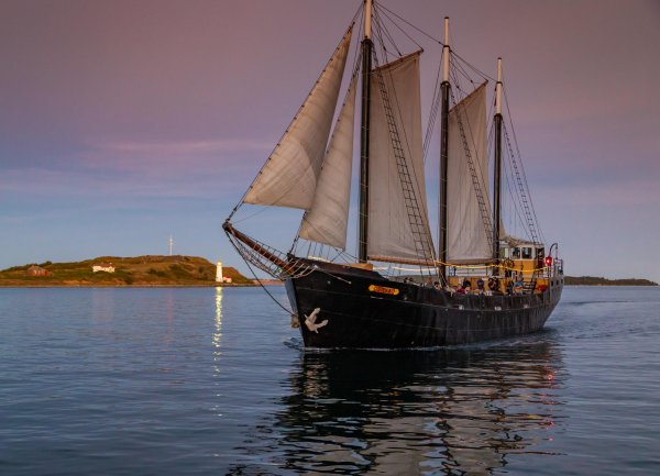 Nova Scotia Acorn_Art_Photography_IMG_9135.jpg
