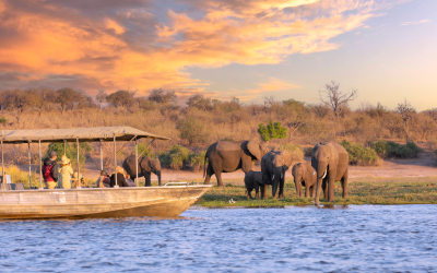 Victoria-Falls-Okavango-Delta_pk34286_1.jpg