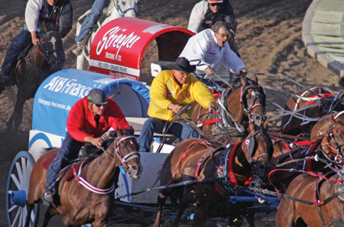 Calgary calgary-stampede.jpg