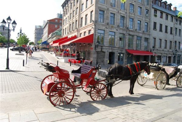 Eastern Canada Classic montreal-horse-carriage.jpg