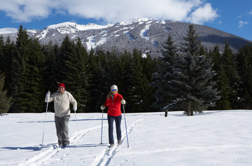 Whistler whistler-skiing.jpg